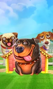 The Dog House